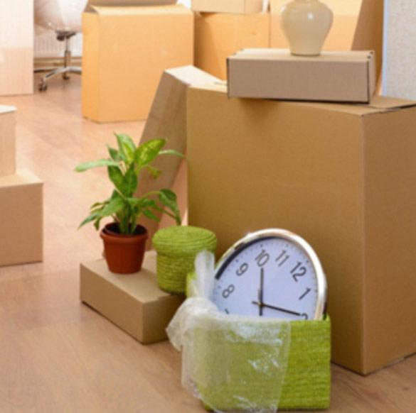 Removalists Collinswood
